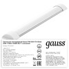 Миниатюра фото потолочный светодиодный светильник gauss 144124218 | 220svet.ru