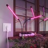 Миниатюра фото умная розетка с заземлением с защитными шторками werkel w1171601 | 220svet.ru
