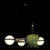 Миниатюра фото подвесной светильник loft it jardin 10121/3 dark grey | 220svet.ru