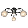 Миниатюра фото потолочная люстра arte lamp ginevra a1604pl-3bk | 220svet.ru
