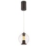 Миниатюра фото подвесной светодиодный светильник favourite boble 4550-1p | 220svet.ru