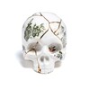Миниатюра фото статуэтка skull seletti 09943 | 220svet.ru