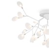 Миниатюра фото потолочная люстра freya florencia fr5049cl-27w2 | 220svet.ru