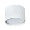 Миниатюра фото потолочный светильник arte lamp fang a5552pl-1wh | 220svet.ru