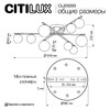 Миниатюра фото потолочная люстра citilux glob cl209293 | 220svet.ru