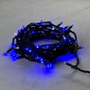 Миниатюра фото гирлянда нить 10м синяя с мерцанием белого диода 220в, 75 led, провод черный каучук, ip65 ltc ll75blw-1-2b | 220svet.ru