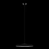 Миниатюра фото подвесной светильник loft it plato 10119 black | 220svet.ru
