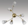 Миниатюра фото потолочная люстра на штанге lumion imana 8154/6c медный | 220svet.ru