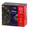 Миниатюра фото уличная светодиодная гирлянда эра нить 220v мерцающий теплый белый eraps-wk10 б0056015 | 220svet.ru