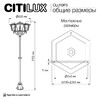 Миниатюра фото уличный парковый светильник citilux forts clu10p3 | 220svet.ru